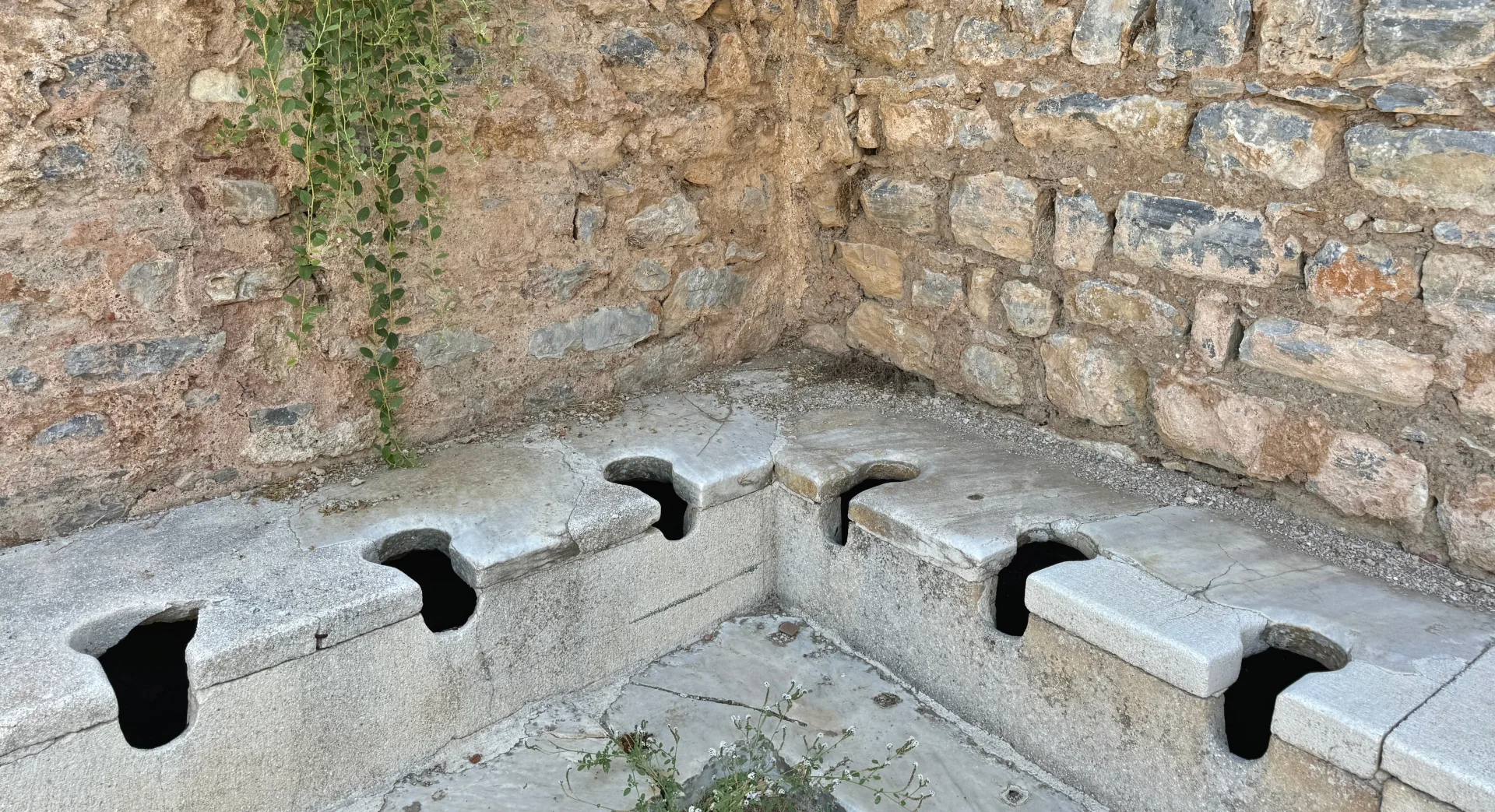 latrines